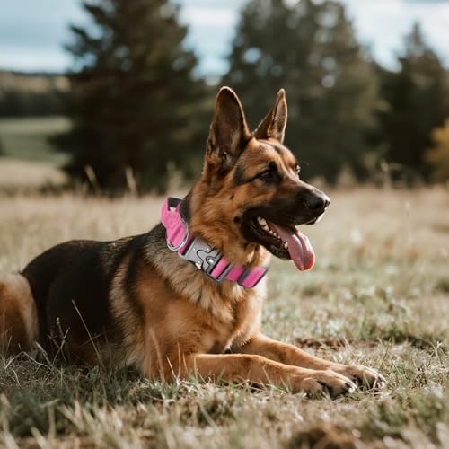 Taktisches Halsband Hund mit Griff, Hundehalsband Breit Gepolstert mit Metallschnalle, Verstellbar Nylon Dog Collar für Mittlere Große Hunde (Rot, L)