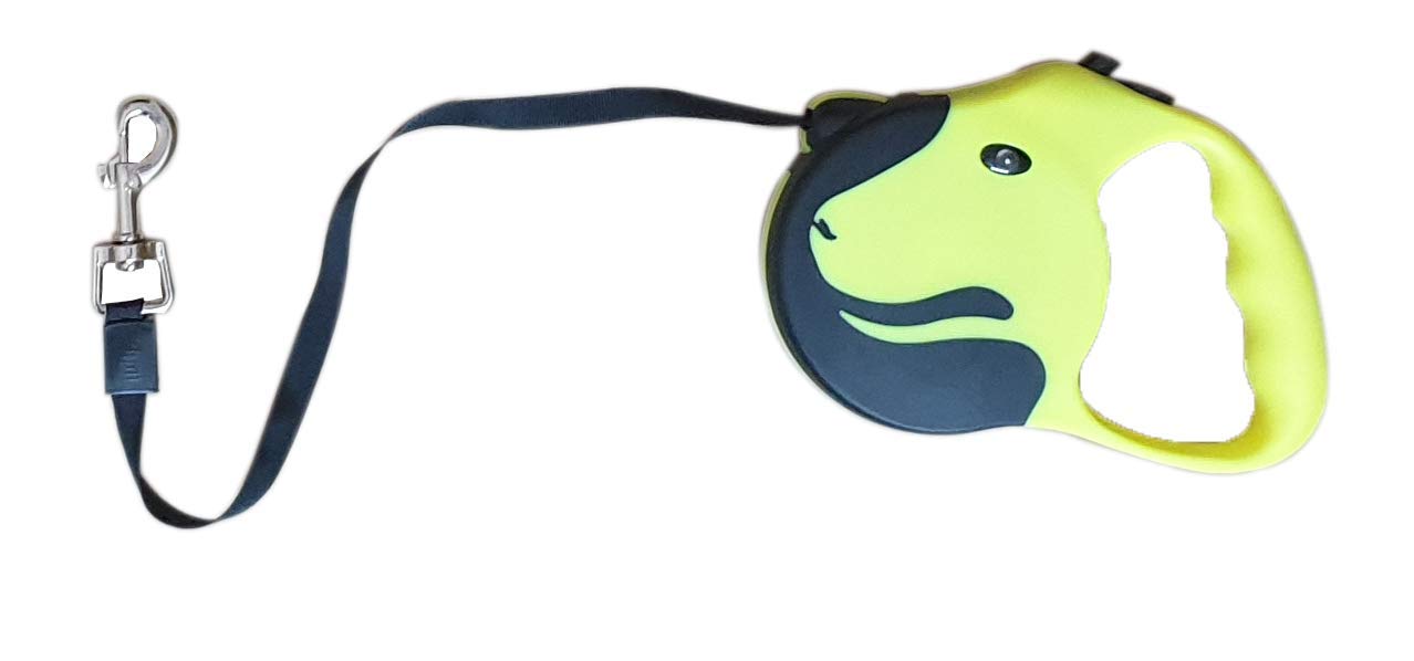 A+a Pets Dog Retractable Leash for Pet (with Lock-Unlock Technology) (3 Metres, Florescent), Fluorescent, Medium, 80 G (B08R5H9NT6) Amazon Price History, Amazon Price Tracker