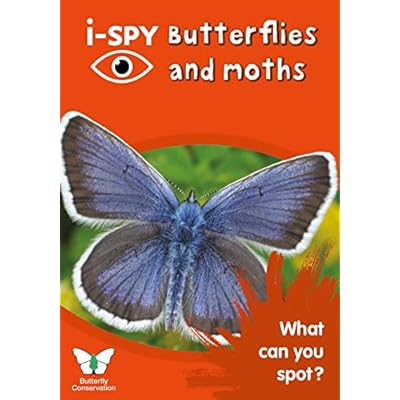 i-SPY Butterflies and Moths
