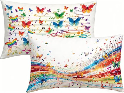 �N�b�V���� ������� 50x70cm 2���Z�b�g �F �� �h�����l�� �N�b�V�����J�o�[�C���ʈ���A�B���t�@�X�i�[�t���C���r���O���[���A�Q���A�\�t�@�A��ɓK���Ă��܂� �z�[���f�R���[�V���� -LK260482Z