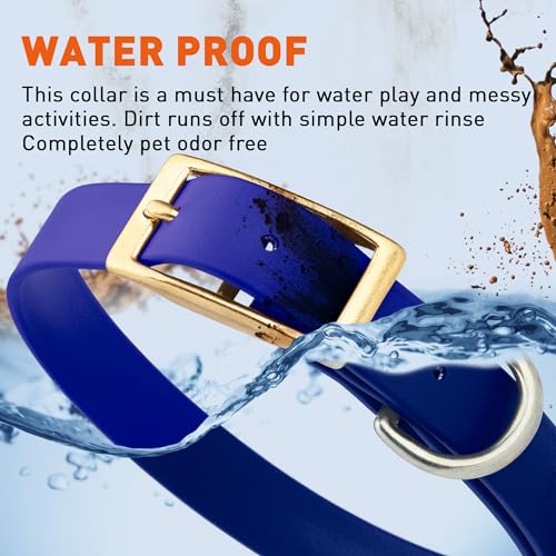 Image of Viper Biothane Heavy Duty Waterproof Dog Collar Strong Coated Nylon Webbing w /Solid Brass Hardware Odor-Proof Easy to Clean High Performance Fits Small Medium or Large Dogs, Blueberry Royal