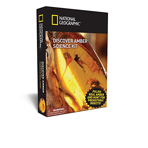 NATIONAL GEOGRAPHIC Amber Exploration Science Kit - Polish Real Amber Specimens to Find Preserved Bugs, Leaves, and More, An Exciting STEM Science Kit for Kids with a Real Scorpion Keychain Included