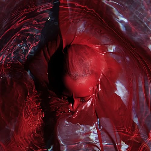 Not Here Not Gone - Vinyle Rouge Transparent