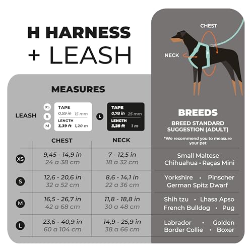 Toh Conjunto Peitoral H E Guia Preto G