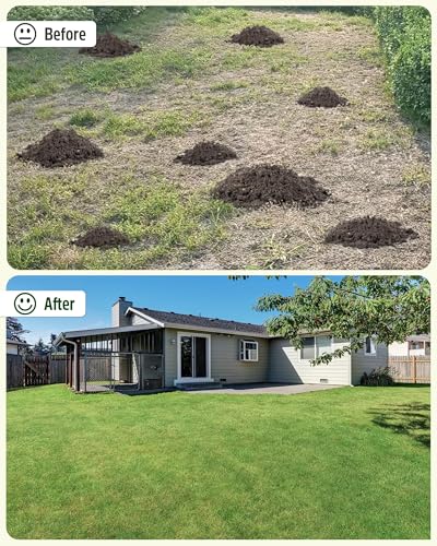 Fengzeying Lawn Leveling Rake, Heavy Duty Levelawn Tool For Garden Level Soil Or Dirt Ground Surfaces Easily, 30” X 10” Ground Plate, Steel Handle Length Is 80 Inch - 6