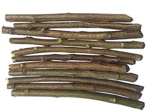 Anupam Enterprises Ayurvedic Natural Organic Neem Datun Toothbrush Nim Tree Twigs Chew Sticks for Brushing Teeth Removes Bad Breath, Relieve Tooth Ache, Healthy Toothpaste (Pack of 10)
