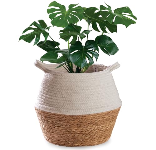 Cesta Mimbre Grande Tejida de Algas Marinas Sostenibles & Algodón - Macetero Decorativo Interior - Para Plantas & como Cesto de Almacenaje - Blanco