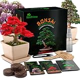 BonPrime Bonsai Starter Kit - Einsteigerfreundliches Set mit 4 Baumsorten - 4 Pflanzen-Töpfe aus Bambus, 4 Torfpellets, 4 Pflanzenmarker, Schere & Wasser-Sprühflasche, gedruckte & Online-Anleitung