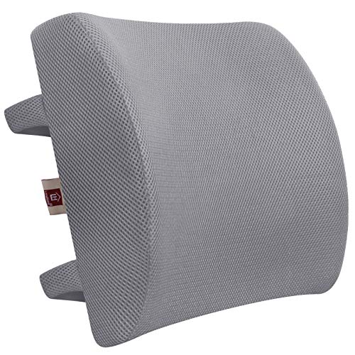 LOVEHOME Memory Foam Lumbar Support Pillow for Desk Chair with 3D Mesh Cover Balanced Firmness for Lower Back Pain Relief - Ideal Back Support for Office Chair and Car - Grey #1