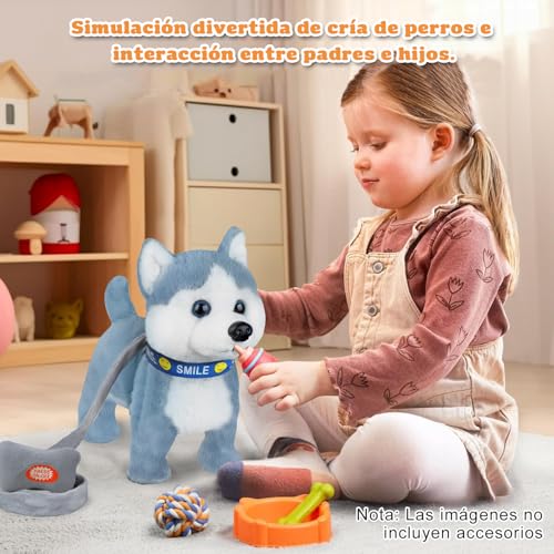 Consejos para Comprar Cachorro husky los más recomendados. 13
