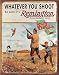 Desperate Enterprises Whatever You Shoot Be Sure It's Remington Tin Sign, 12.5" W x 16" H