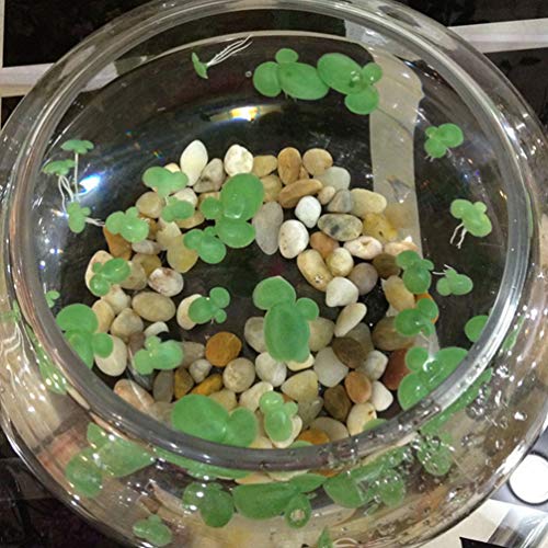 POPETPOP Pacotes de 2 Lentilha Artificial Planta Folhagem Artificial Flutuante Lagoa Decoração Paisa