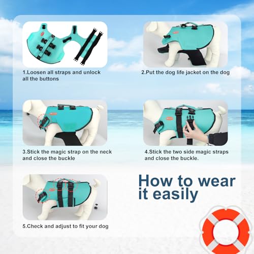 Doglay Dog Life Jacket Neoprene, High Buoyancy Dog Harness Life Vest for Swimming and Boating, Adjustable Swim Vest with Rescue Handle for Small Medium Large Dogs by Doglay - Image 8
