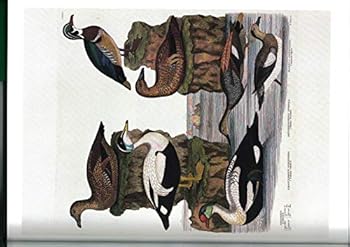 Hardcover Ducks Book