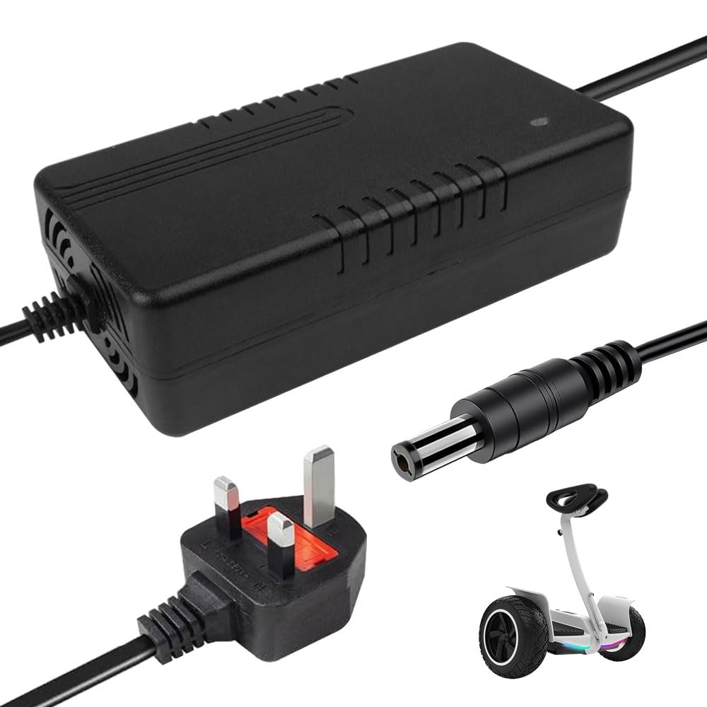 ZOYDP Battery Charger 58.8V 4A for Electric Bike, 52V 14S Lithium Battery Charger, 58.8V charger 4A Universal for Electric Scooter, Electric Bicycle, Motorbike, With DC 5.5mm*2.1mm Connector