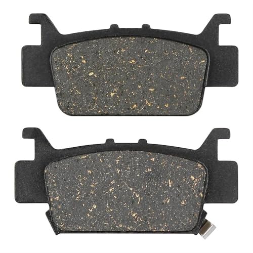 Plaquettes de frein moto contre l'usure pour SXS1000 M3 M5L Pioneer 3 Places