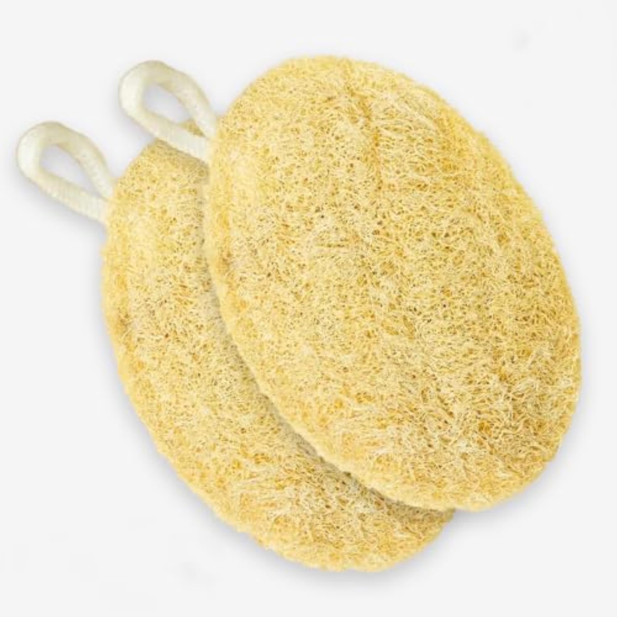 Natural Loofah Body Scrubber for Bathing, Oval Luffa Scrub Pad Pack of 2