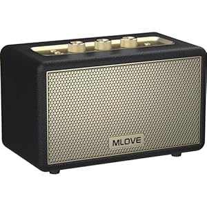 MLOVE A200 Portable Retro Bluetooth Speaker with Aux Input, USB Port, Micro SD Card Slot – Decorative Wireless Bookshelf Speakers Battery Powered, House Warming Gifts for New Home, Black and Gold