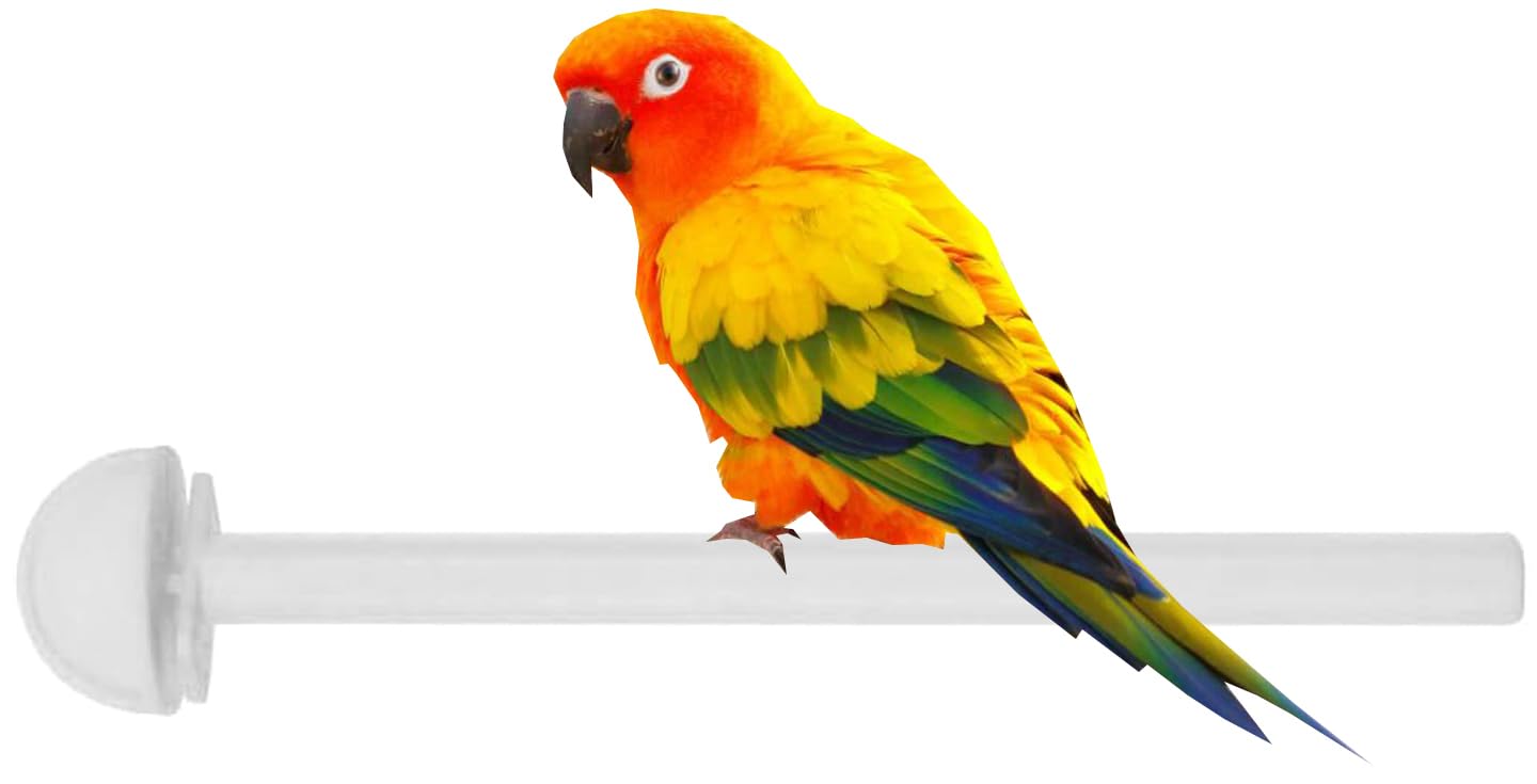 Lot of 4 Bird Parrot Cage Universal Heavy Duty Plastic Stand Perches Holders (8-Inch, White)