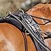 Schneiders Premier Multi-Ring Surcingle for Horses | Premium Grade Leather | Single Billet Design with Roller Buckles | Versatile Training Rings | Reinforced Stress Points | Fits Most Breeds