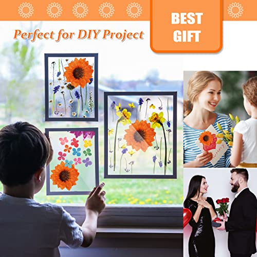 60 piezas de pequeñas flores secas prensadas de girasol naranja para manualidades miniatura 5