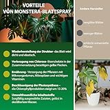 Zoom IMG-1 garten lux bio spray di Zoom IMG-1 garten lux bio spray di