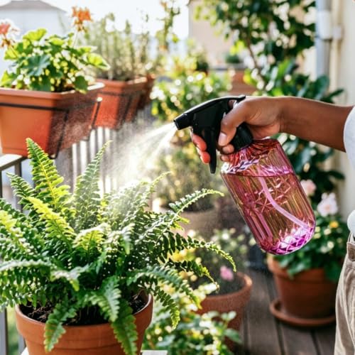 Image of OFFIDIX Glass Plant Mister 13.5 oz Fine Mist Plant Spray Bottle Amaranth