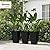 Outsunny Set of 3 Tall Planters with Drainage Hole, 24" Outdoor Flower Plant Pots, Indoor Planters for Porch, Front Door, Entryway, Patio and Deck