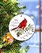 Cardinal Christmas Ornaments Red Cardinal Gifts for Women Girls Hanging Clearance Keepasake Stocking Stuffers Xmas Tree Decor