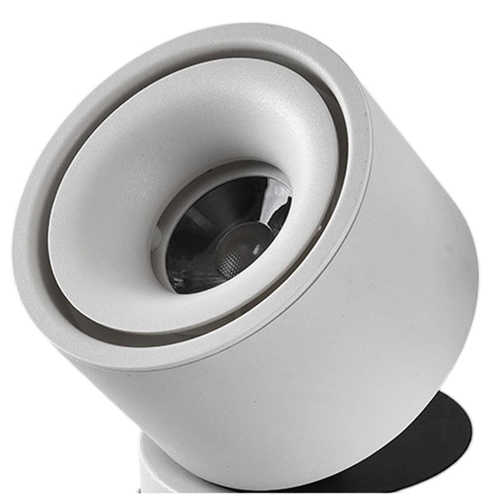 SKYGOO Foco de techo LED de 30 W, lámpara de luz de pasillo ajustable, luz de sala de estar de baño, foco de montaje en superficie de tres cabezas, luz de pasillo de dormitorio, luces de centro comerc