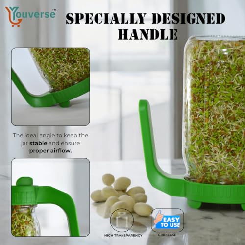 Image of Sprouts Maker Glass Jar - 950ml Large Sprouts Maker Jar for Home Use | BPA-Free Sprouting Jar with Drain Lid Handle | Airflow, Odor-Free, Easy Drainage, and Hygienic Glass Design (Green)