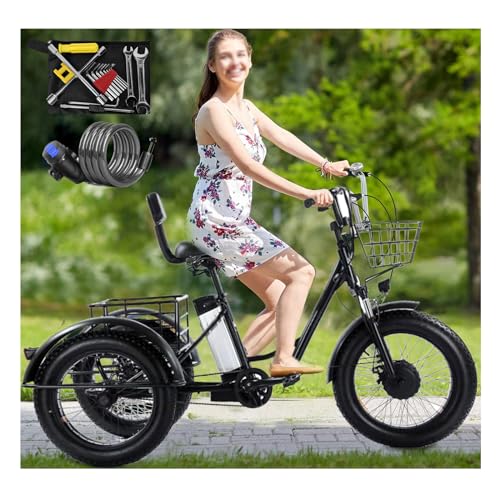 Triciclo elettrico per adulti, adatto a ragazzi e adulti, 500W 48V, 20" Fat Tire, 3 ruote, con batteria rimovibile e kit di attrezzi, adatto a tutti i terreni.
