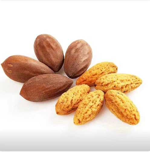 Miniatura 2 de Wow-great Fengqiao Xiang Fei Zi 250g8.81 oz Zhengjiang Zhuji especialidad (Sal y pimienta )