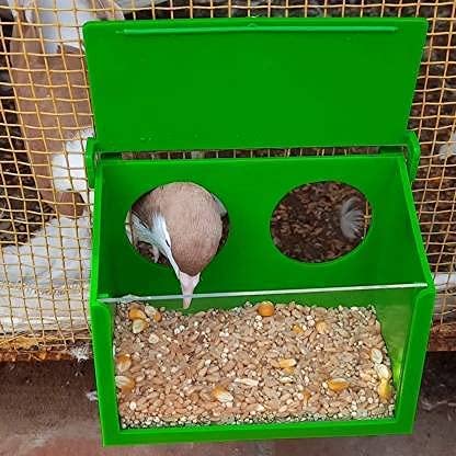 Garden Gates Bird Food Feeding Box in Clamp cage Out Side suitably to Pigeon and Medium Size Birds Window Bird Feeder (Green) (B0B1CG9NX2) Amazon Price History, Amazon Price Tracker