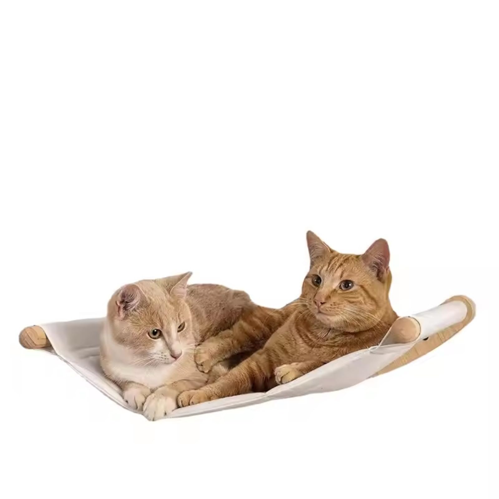 Amaca da parete per gatto, albero per gatti con tiragraffi in sisal, kit di posatoi da arrampicata da parete composto da 1 amaca, 2 gradini, telaio da arrampicata per gatti, letto in legno per gattini