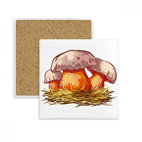 Dessous de verre pierre champignon bleu idée cadeau lot de 2