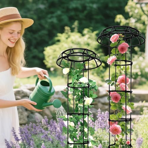 Treillis pour grimpantes d'extérieur pour balcon et terrasse