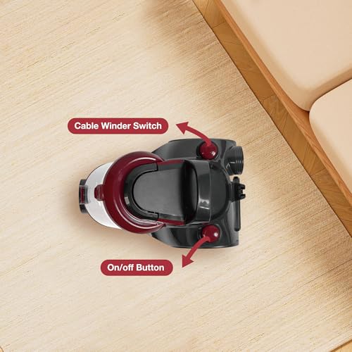 Akitas C10 Parquet Bagless Vacuum Cleaner Cylinder 900W With German Wessel Werk Large 32cm Width Horse Hair Hard Floor Nozzles - Image 5