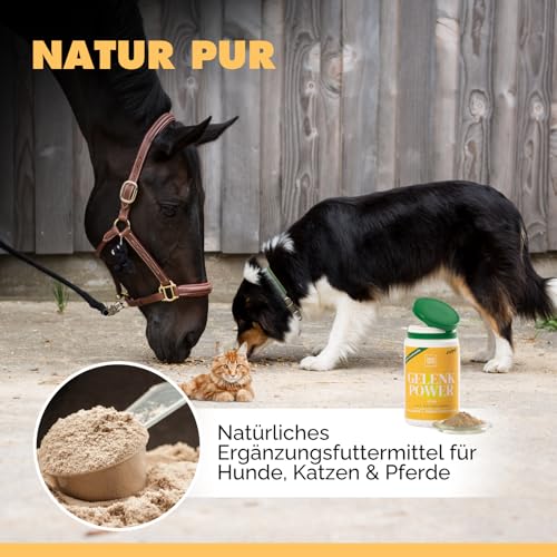 PAW WOW Gelenkpower Gelenkpulver 130g für Hunde, Katzen & Pferde | Mit natürlichem Kollagen & Grünlippmuschel | Unterstützt Gelenke & Bindegewebe | Ohne künstliche Zusatzstoffe