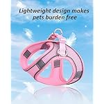 Solmoony Dog Harness for Small Medium Dogs No Pull, Puppy Harness and Leash Set, Puppy Harness for Small Dogs, Step in Harness for Small Dogs, Small Dog Harness, mesh Dog Harness. (Bule, M) - Image 3