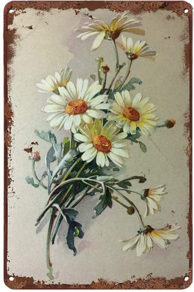 Ertr Flowers White Daisy With Dew Dropskateboard Shop Vintage Look Tin Sign Bar Cafe Vintage Metal Sign Poster 8X12 Inches