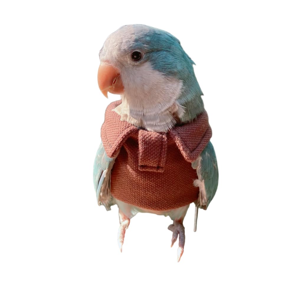 Parrot Bird Supplies, Light Flying Clothes, Warm and Comfortable, Tiger Skin, Green Cheek Parrot, Little Sun Parrot, Monk Parrot, Starling, mynah, Senegal Parrot, Mini Macaw Sweater (4XL)