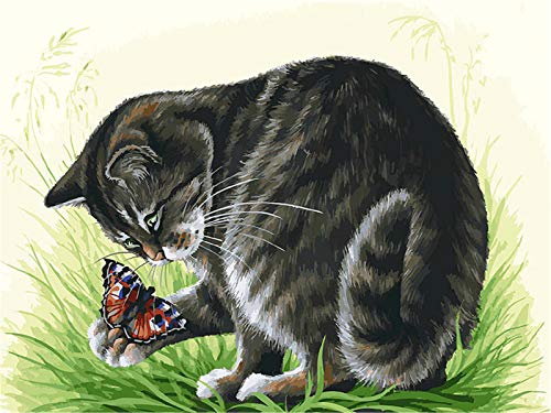 YEESAM ART Pintura al óleo por números, para adultos, niños, mariposa en la palma de la mano, un gato negro, pintura numérica a partir de 5 óleos, arte de pared (gato con marco)