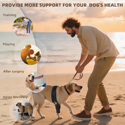 Image of Dog Knee Joint Metal Sheet Support Brace Relieve ACL /CCL Pain, Hip Dysplasia, Stabilize Joints, Post-Surgery Aid Recovery, Arthritis Osteoarthritis, Universal Use of 4 Limbs, M Size Medium
