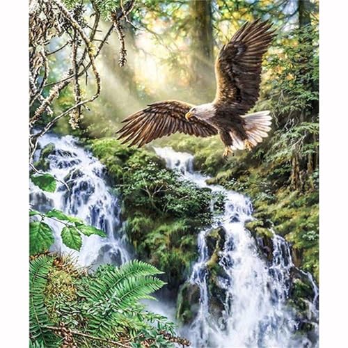 Peinture diamant oiseau cascade Lituor 80x100 cm avec strass ronds pour adulte