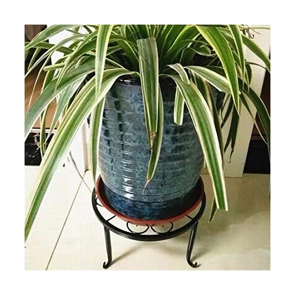 Indoor Plant Stand - Plant Stands Outdoor Metal 3 Pack Durable Round Flower Pot Rustproof Iron Rack Perfect for Home, Garden, Patio（9 Inches, Black） - Image 7