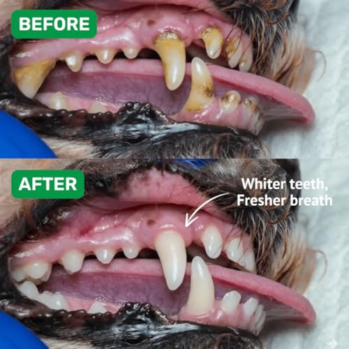 Image of Absolut Pet Dog Supplement for Oral Care, Dental Chews for Dogs that Reduces Plaque & Tartar | Freshens Breath & Supports Gum Health (30 Chews)