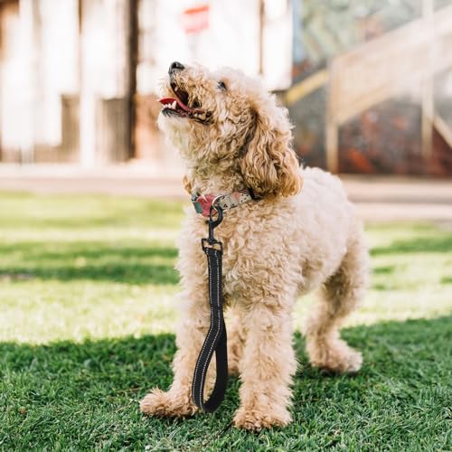 38 cm Hausleine für Hunde, Hundeleine Kurz Trainingsleine mit Gepolstertem Griff und 360° Drehbarer Metallclip Schwarz Kurzführer für Große Mittlere Kleine Hunde Schwarz