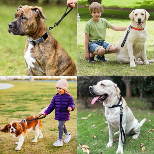 Kurzführer Hund, Kurzleine Hund, Hausleine für Hunde 30 cm Langes, Kurzes Trainingsseil Mit Bequem Gepolstertem Griff Drehhaken aus Metall für Mittlere Große Hunde, Schwarzes
