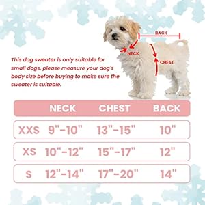 Small-Dog-Sweater-Cute-Flower-Winter-Fall-Warm-Small-Dog-Clothes-Cold-Weather-Turtleneck-Knitwear-Sweaters-Cozy-Pet-Outfits-for-Small-Dog-Cats-Puppy-XS - Cucciolini Doodles   Small-Dog-Sweater-Cute-Flower-Winter-Fall-Warm-Small-Dog-Clothes-Cold-Weather-Turtleneck-Knitwear-Sweaters-Cozy-Pet-Outfits-for-Small-Dog-Cats-Puppy-XS